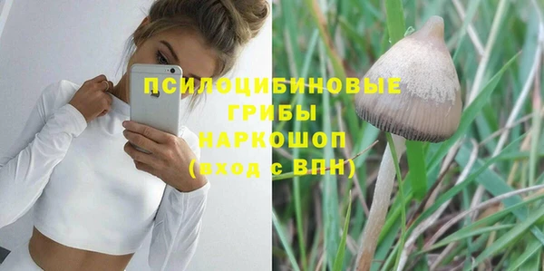 стаф Нефтекумск