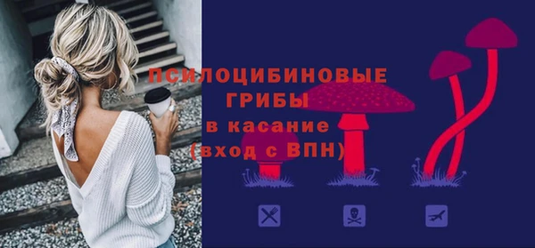 дурь Новозыбков
