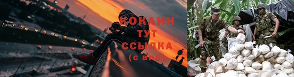 прущая мука Билибино