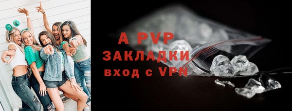 стаф Нефтекумск