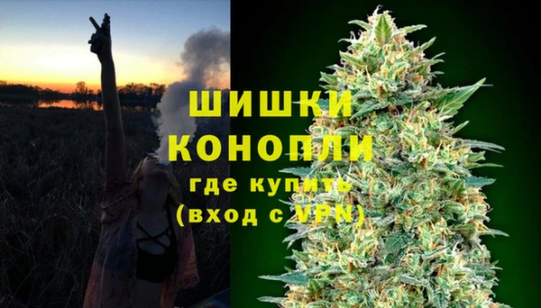 стаф Нефтекумск