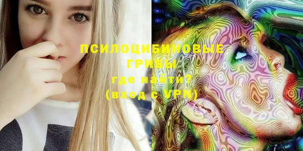 тгк Новокубанск