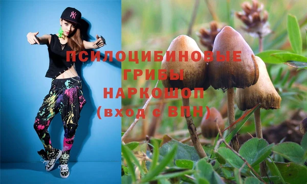 дурь Новозыбков