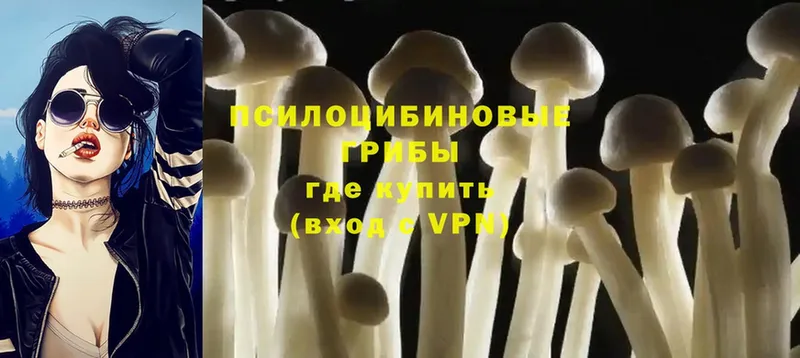 Галлюциногенные грибы MAGIC MUSHROOMS  Хотьково 